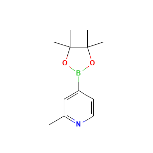 2-Methylpyridine-4-boronic acid pinacol ester