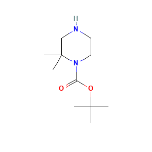1,1-Dimethylethyl 2,2-dimethyl-1-piperazinecarboxylate