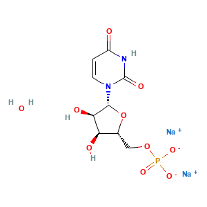 Uridine 5'-monophosphate disodium salt hydrate