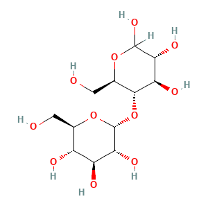 Maltose