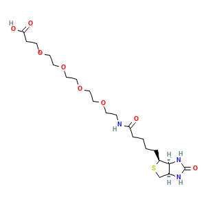 17-Oxo-21-((3aS,4S,6aR)-2-oxohexahydro-1H-thieno(3,4-d)imidazol-4-yl)-4,7,10,13-tetraoxa-16-azahenicosan-1-oic acid