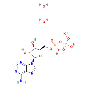 Potassium (2R,3R,4S,5R)-2-(6-amino-9H-purin-9-yl)-4-hydroxy-5-(((hydroxy(phosphonooxy)phosphoryl)oxy)methyl)tetrahydrofuran-3-olate dihydrate