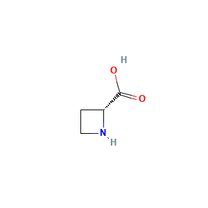 2-Azetidinecarboxylic acid, (+)-
