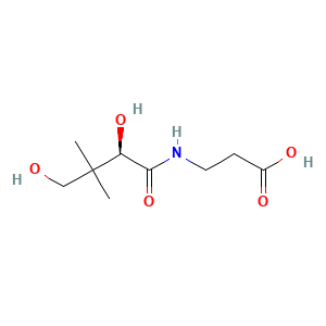Pantothenic Acid