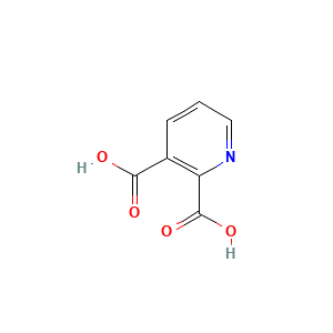 Quinolinic Acid