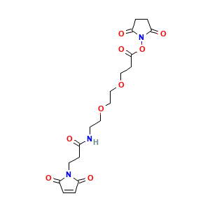 (2,5-Dioxopyrrolidin-1-yl) 3-[2-[2-[3-(2,5-dioxopyrrol-1-yl)propanoylamino]ethoxy]ethoxy]propanoate